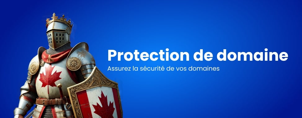 Protection de domaine: Assurez la sécurité de vos domaines