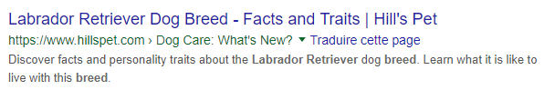 Search result title example Labrador retriever