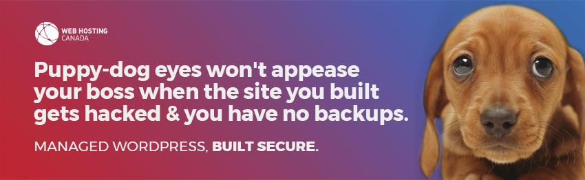 Managed WordPress, built secure