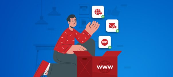 Domain Manager