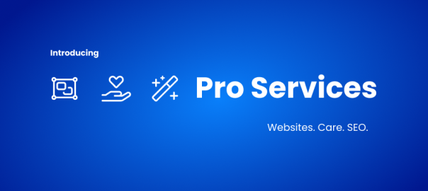 Pro Services